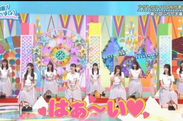 やってるメンバーのはぁ～い【日向坂46】