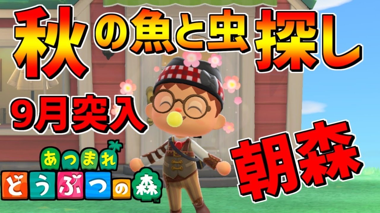 【あつ森】今日から9月!!新しい虫・魚は何だろう!?【あつまれどうぶつの森】
