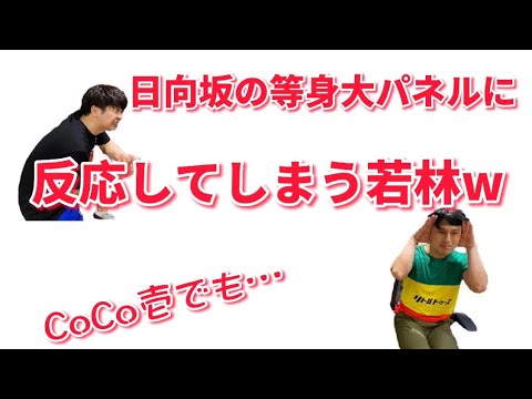 オードリー若林、日向坂の等身大パネルに反応してしまうwww オールナイトニッポン オードリー若林、日向坂の等身大パネルに反応してしまうwww オールナイトニッポン