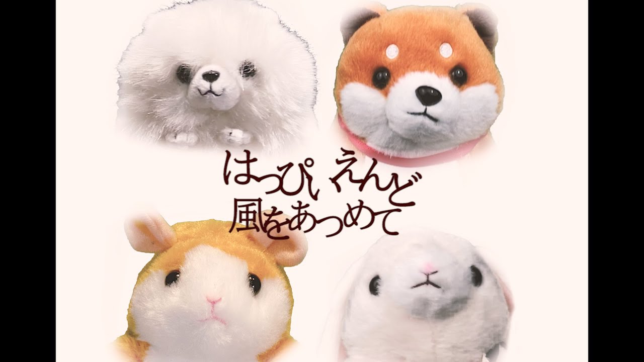 【CC歌詞付】はっぴいえんど  - 風をあつめて　細野晴臣　窪田正孝　ものまねミミクリーペット  Mimicry Pet Sings KazewoAtsumete by HappyEnd