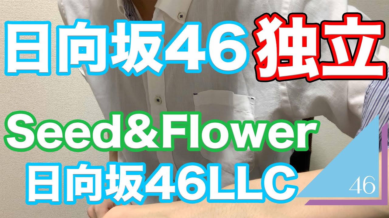 日向坂46「Seed&Flower合同会社」から独立して「日向坂46LLC」を立ち上げた? 日向坂46「Seed&Flower合同会社」から独立して「日向坂46LLC」を立ち上げた?