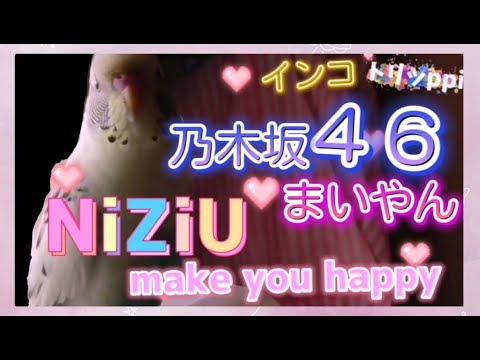 【乃木坂46】まいやん ( 白石麻衣 さん)【 NiziU 】【make you happy】がお気に入り♪“ セキセイインコ ”トリッppi ☆ 【乃木坂46】まいやん ( 白石麻衣 さん)【 NiziU 】【make you happy】がお気に入り♪“ セキセイインコ ”トリッppi ☆