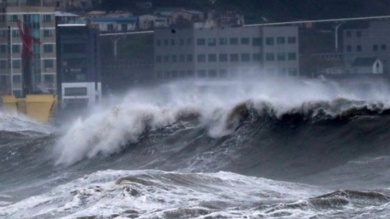 【速報】台風10号で韓国がやばい｜韓国人が説明します