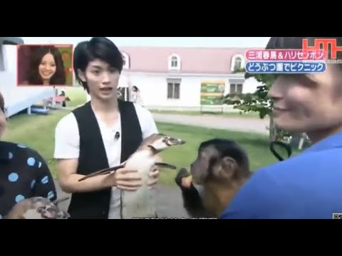 三浦春馬 100911志村ZOO | 三浦春馬とchs =ペンギンペンギン 三浦春馬 100911志村ZOO | 三浦春馬とchs =ペンギンペンギン