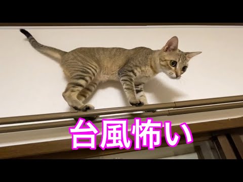 大型台風10号直撃🌀