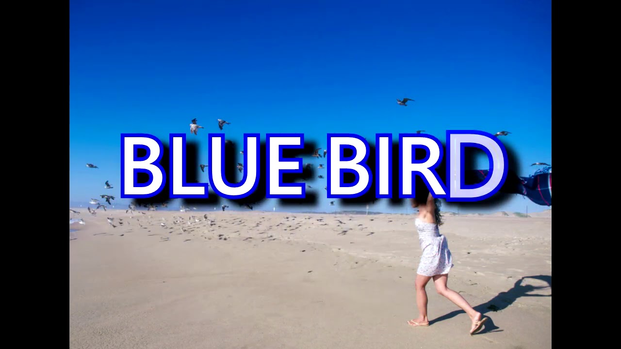 #ayumix2020 BLUE BIRD / Ayumi Hamasaki #ayumix2020 BLUE BIRD / Ayumi Hamasaki