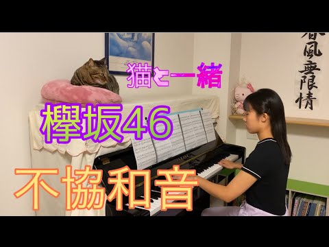 欅坂46『不協和音』 ピアノ　 〜猫と一緒〜