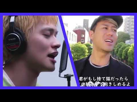 【Tik Tok】川畑要（CHEMiSTRY）と北村匠海をカブせたら凄いことに💛歌にダンスDISH::猫💜｜High School Rep Japan #40