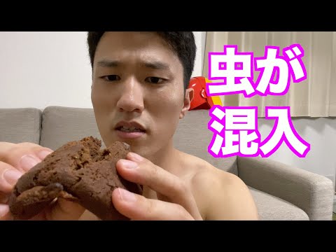 【閲覧注意】マイプロテインに大量の虫？購入済み商品を虫いないか検証してみた。