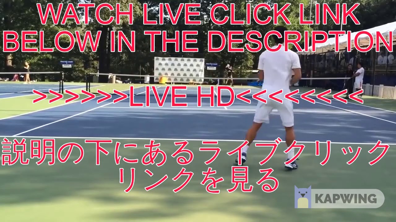 【ライブ】錦織 圭vsアルバート・ラモス・ビノラス YAYAFA