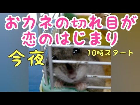 お金の切れ目が恋のはじまり 三浦春馬くん 今日から始まるよぉー!令和2年9月15日 清貧女子 の 😍じれキュン ラブストーリー 👨❤👨 『おカネの切れ目が恋のはじまり』 お金の切れ目が恋のはじまり 三浦春馬くん 今日から始まるよぉー!令和2年9月15日 清貧女子 の 😍じれキュン ラブストーリー 👨❤👨 『おカネの切れ目が恋のはじまり』