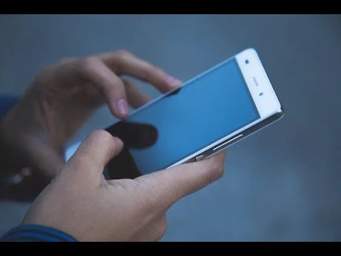 ✅  プロテインブランド「マイプロテイン」が販売しているプロテインバーに虫が混入しているとネット上で騒動となり、「マイプロテイン」が謝罪したものの、その対応が物議を醸している。　​撮り鉄に向け「死にま