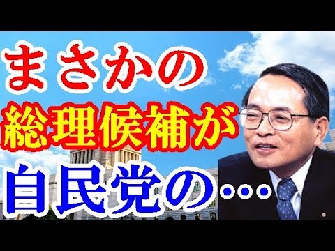2018年5月12日 【平沢勝栄】 安倍総理の後継者候補が、まさかの・・・もしかして、自民党の人手不足！？