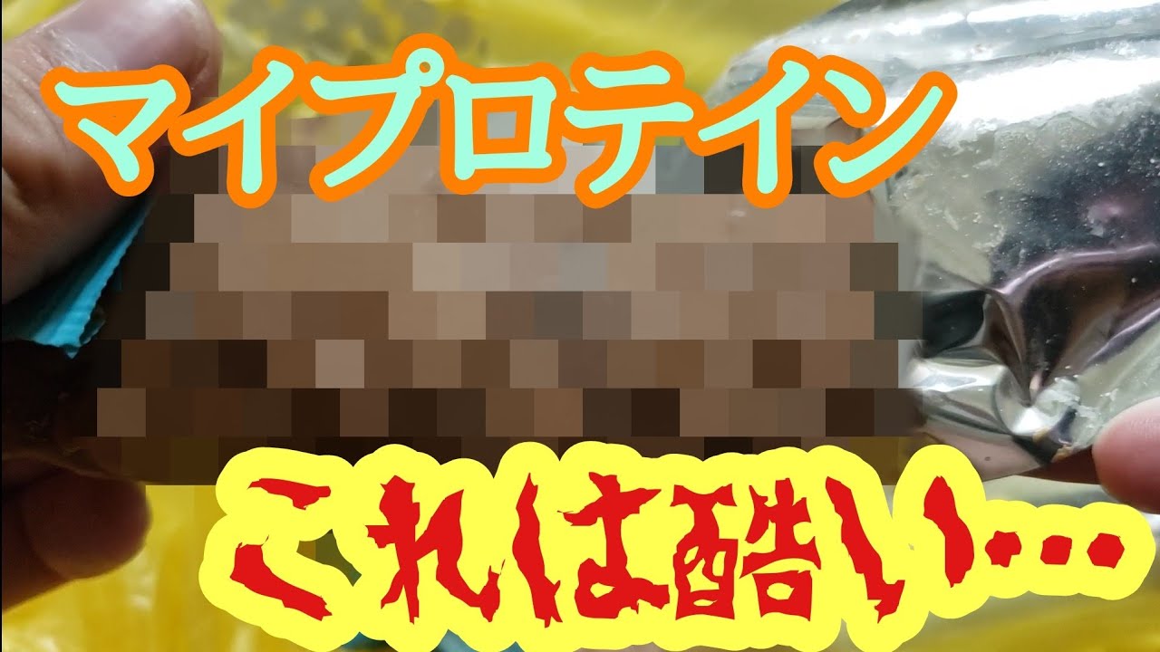 マイプロテインの虫ってホントにいるの？【閲覧注意】