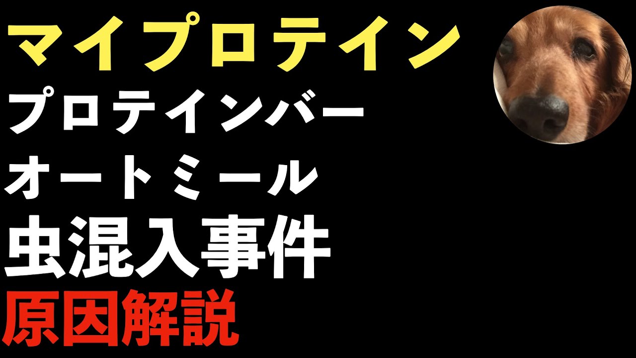 マイプロテインのプロテインに虫が混入！原因について解説！不誠実対応についても批判殺到！炎上案件！