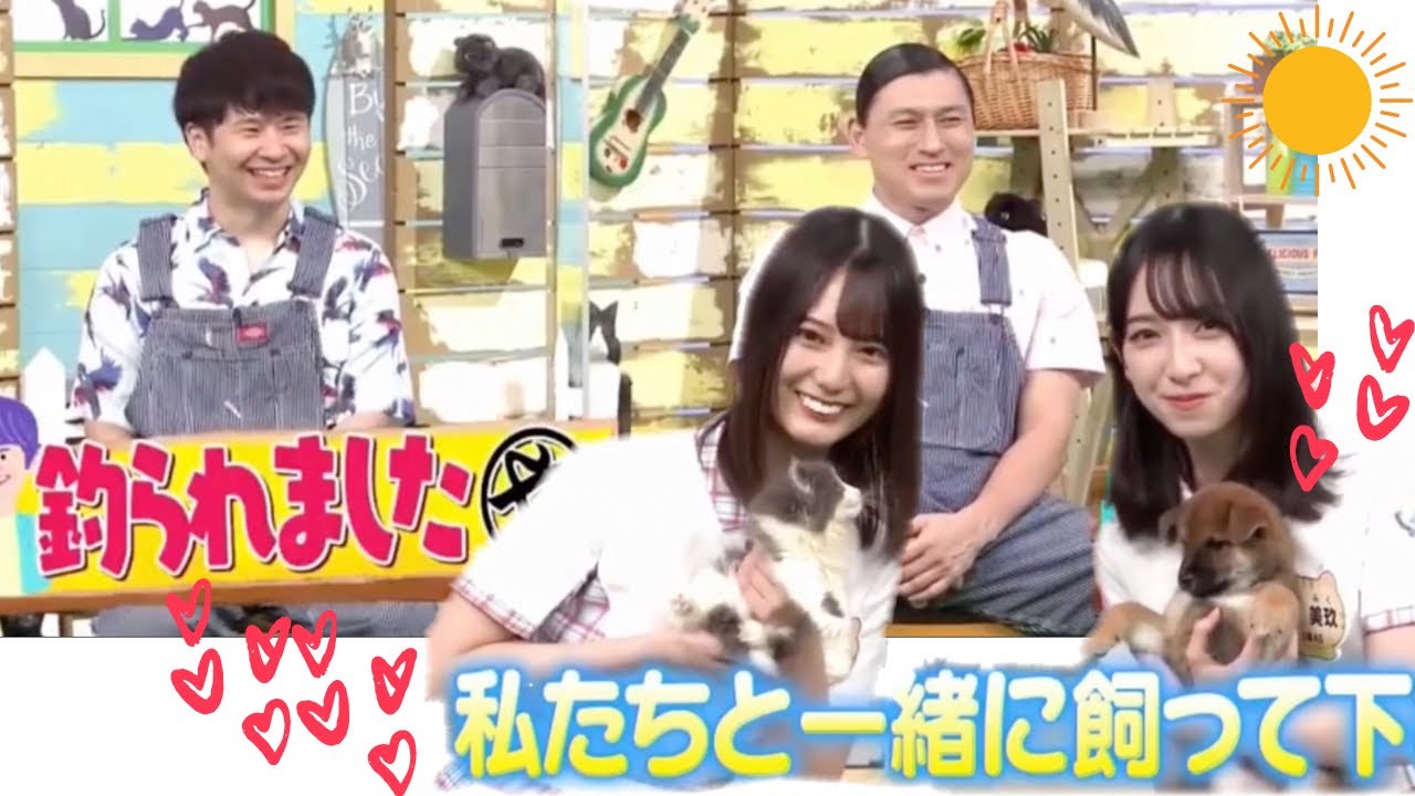 どうぶつピースでも釣られちゃうオードリー【日向坂で会いましょう】