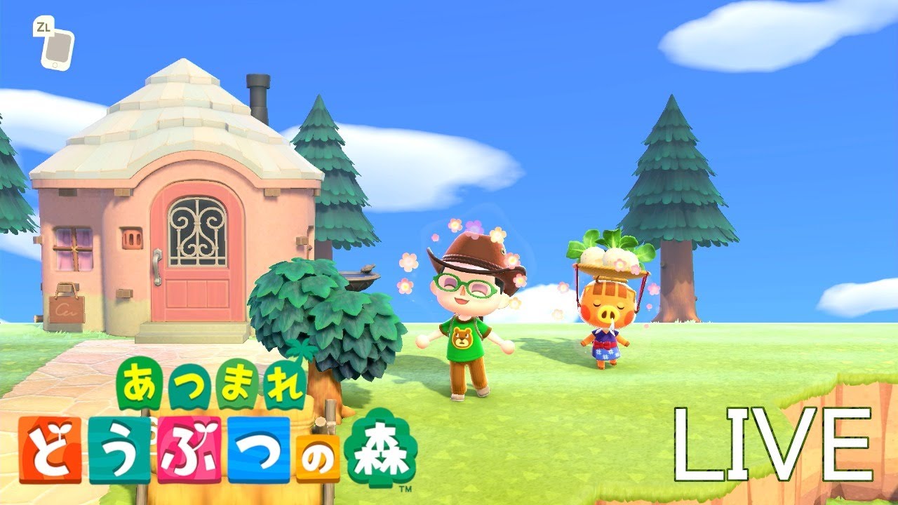 あつまれ どうぶつの森 185日目【あつ森】