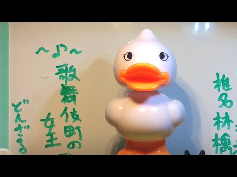 075曲目　歌舞伎町の女王 / 椎名林檎　ギター 弾き語り cover