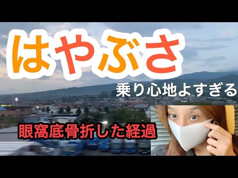 はやぶさに揺られよう🤤🌵🚅内容はないけど旅って感じです！🌍😘💫