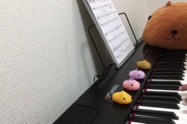 day 147【ピアノ初心者】ハッピーバースデーの曲 浜崎あゆみさん誕生日おめでとうございます！