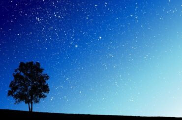 Yuzuru Hanyu | Joe Hisaishi - Hope and Legacy Original Music