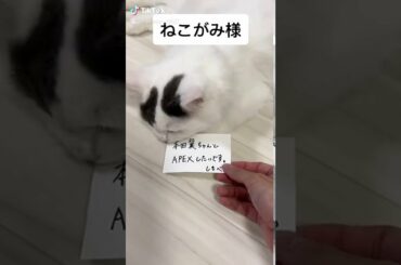 「本田翼ちゃんとAPEXしたい」とネコガミ様にお願いしたらまさかの対応・・【短い動画用】