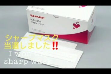 【シャープマスク当選】 Winning a sharp mask