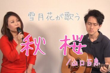 秋桜／山口　百恵