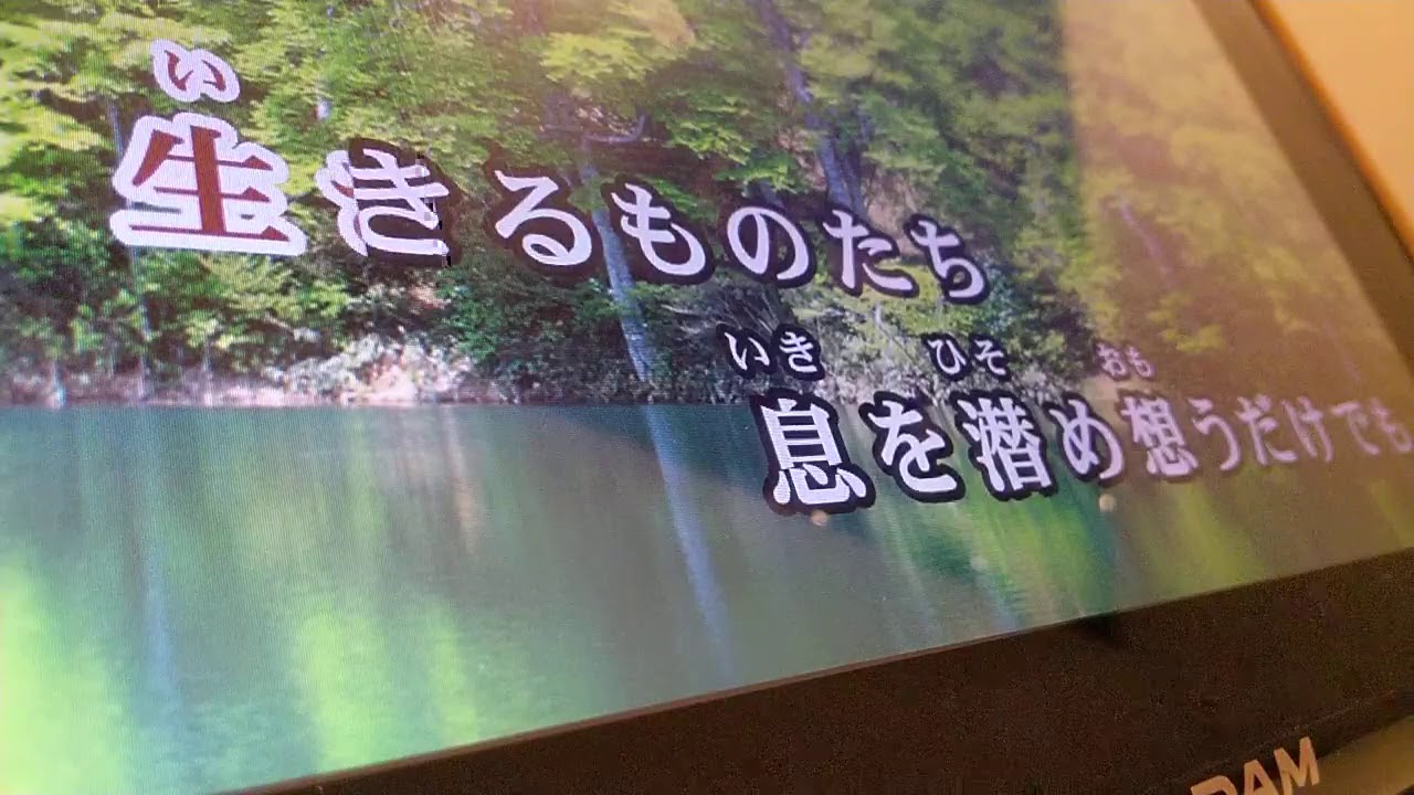 渡辺麻友「ヒカルものたち」歌ってみた 渡辺麻友「ヒカルものたち」歌ってみた