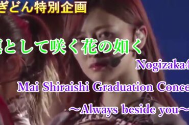 【MAD】【白石麻衣卒業記念】凛として咲く花の如く【NOGIZAKA46 Mai Shiraishi Graduation Concert 〜Always beside you〜】