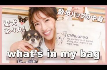 【バッグの中身】愛犬と散歩する時の中身を紹介します！【what's in my bag?】