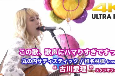 【4K】この歌、歌声にハマりすぎですっ！　丸の内サディスティック / 椎名林檎（cover）" 古川愛理 "  2020.9.20 スタジオライブ4K動画