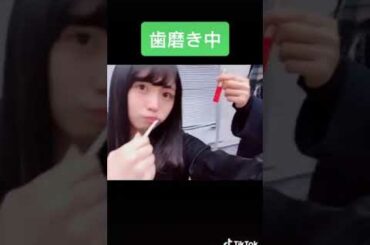 【TikTok】♥はい！かわいい！圧倒的かわいさ【長濱ねる】さんの動画集♥です！　I love TikTok japan  #21