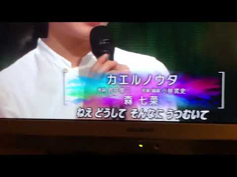 森七菜 カエルノウタ Mステ