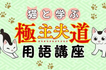 日曜ドラマ『極主夫道』猫と学ぶ 極主夫道用語講座 Part２【”ブツ”ってなんのこと？】毎週日曜よる10時30分
