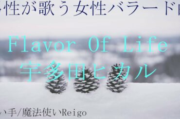 男性が歌う宇多田ヒカル『Flavor Of Life』 歌い手/魔法使いReigo