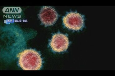 北米初　コロナに2回感染　2回目の方が症状深刻(2020年10月14日)