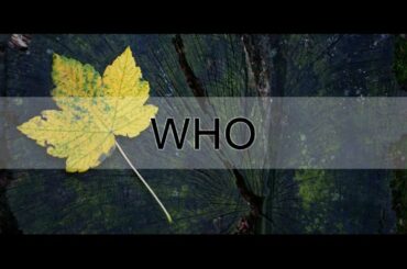 WHO_山口百恵 (WHO_YAMAGUCHI MOMOE) VIETSUB