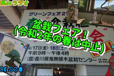 【bonsai】盆栽フェア、にいきたかった！イベント紹介【香川県deラジオ】