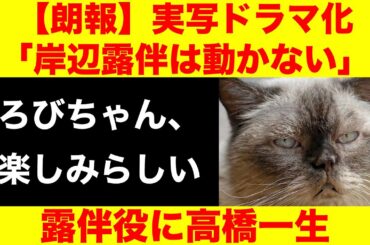 【朗報】高橋一生が岸辺露伴役に！演技力に期待（おしゃべりペット）