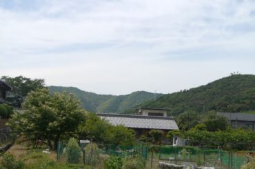 明智実(明智光秀嫡流)。麒麟がくる。土岐石谷城館③。土岐城田寺山城、土岐村山城館を見る。土岐石谷娘は四国を統一した長曾我部元親の正室。岐阜市所在。