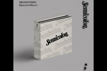 ✅  9月にリリースしたJAPAN 2ndミニアルバム『24H』がオリコン週間アルバムランキングにて1位を獲得し、海外男性アーティスト史上初となるアルバム4作連続1位という記録を打ち立てた韓国の13人