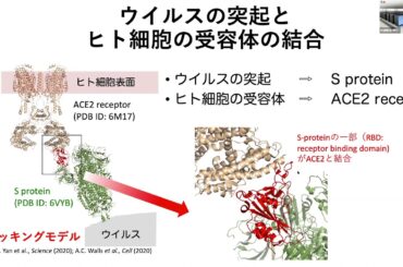 第9回 JCAHPCセミナー講演「 新型コロナウイルス表面のタンパク質動的構造予測」