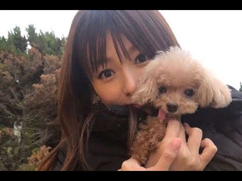 JP最新ニュース 深田恭子&手越祐也、愛犬が“きょうだい”同士だった！ 真相を直撃