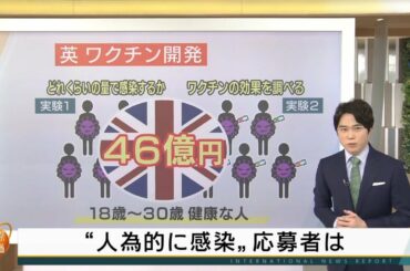 健康な人に 人為的に 新型コロナウイルスに感染させる研究