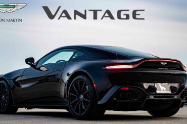 2020 Aston Martin Vantage: Andie the Lab Review!