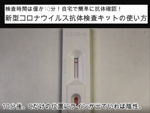 新型コロナウイルス covid-19 抗体検査キット 検査方法 使い方説明動画 新型コロナウイルス covid-19 抗体検査キット 検査方法 使い方説明動画