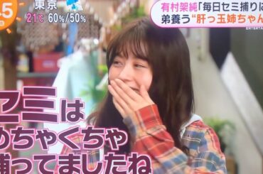 セミが大好きだった有村架純 林遣都 姉ちゃんの恋人 取材会