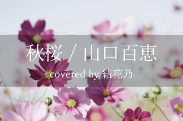 【フル】山口百恵 - 秋桜【 カバー / 歌詞付き / 結花乃】