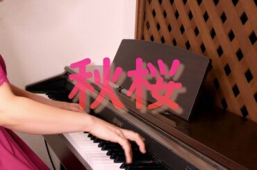 秋桜♪秋のうたシリーズ♪山口百恵/さだまさし【マリンバ&ピアノcover】